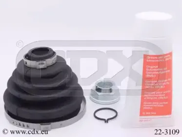 cdx-223109