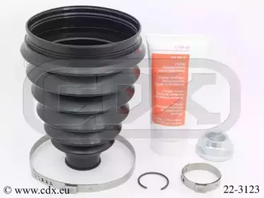 cdx-223123