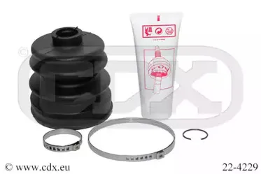 cdx-224229
