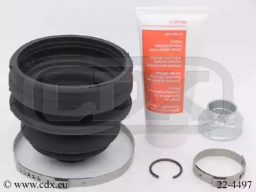 cdx-224497