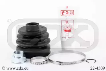 cdx-224509