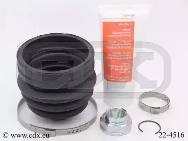 cdx-224516