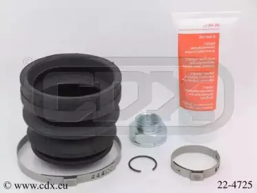 cdx-224725
