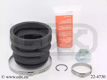 cdx-224730