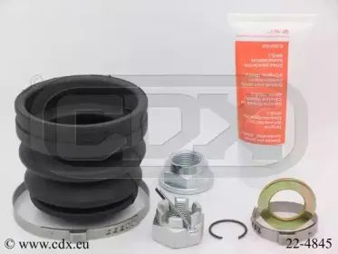 cdx-224845