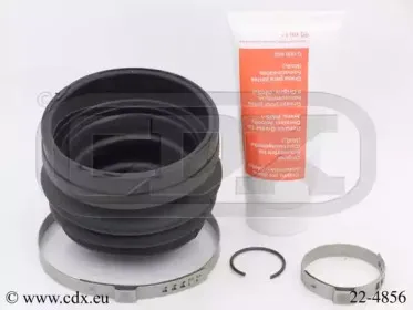 cdx-224856