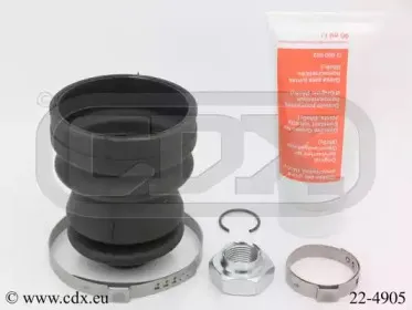 cdx-224905