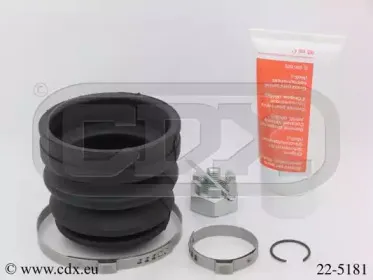 cdx-225181