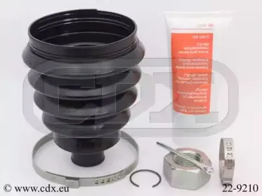 cdx-229210