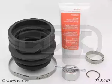 cdx-229243