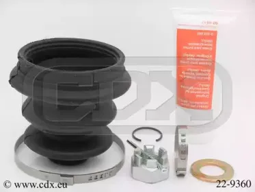 cdx-229360