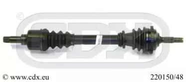cdx-22015048