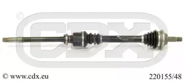 cdx-22015548