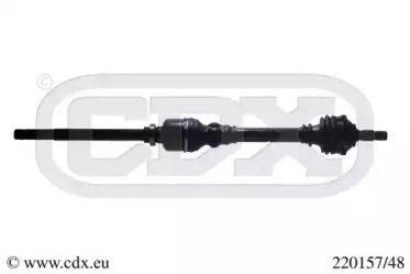cdx-22015748