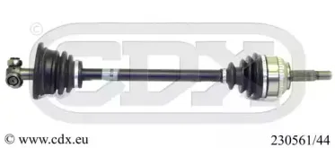 cdx-23056144