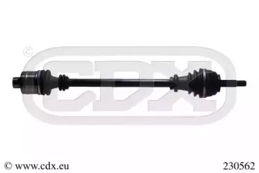 cdx-230562