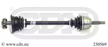 cdx-230569