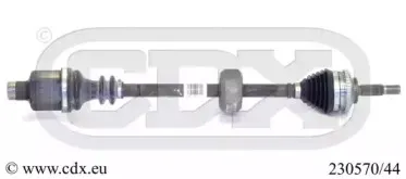 cdx-23057044