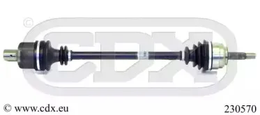 cdx-230570