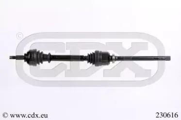 cdx-230616