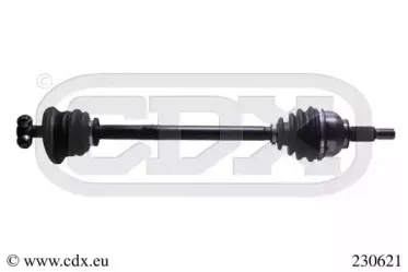 cdx-230621