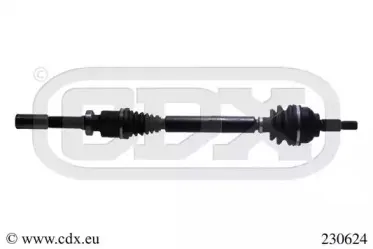 cdx-230624