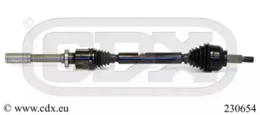 cdx-230654