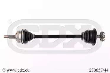cdx-23065744