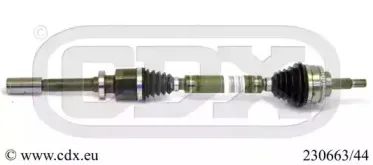 cdx-23066344