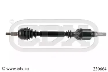 cdx-230664