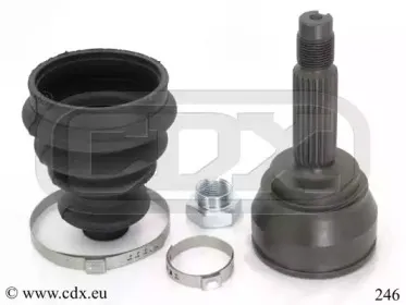 cdx-246