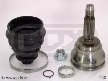 cdx-248
