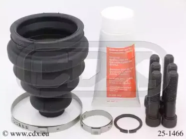cdx-251466