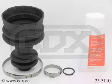 cdx-253110