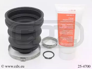 cdx-254700