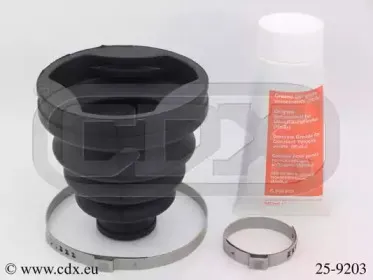 cdx-259203