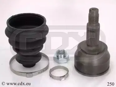 cdx-250