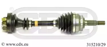 cdx-31521029