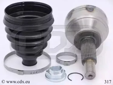 cdx-317