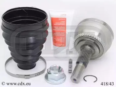cdx-41843