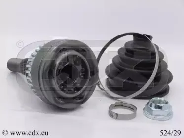 cdx-52429