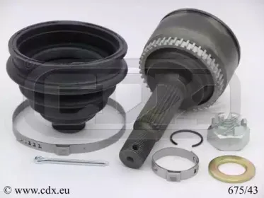 cdx-67543
