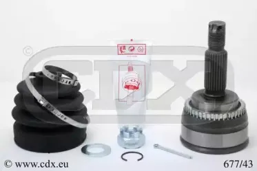 cdx-67743