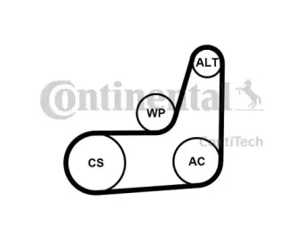 contitech-6pk1019elastt2