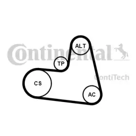 contitech-6pk1217k1