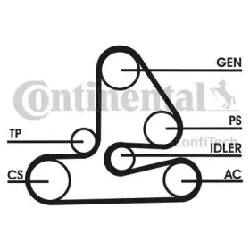 6PK1613D1 CONTITECH