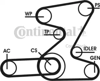 contitech-6pk2080d2