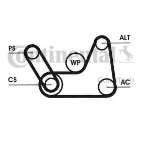 contitech-6pk1019elastt1