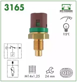 mtethomson-3165