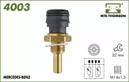 mtethomson-4003